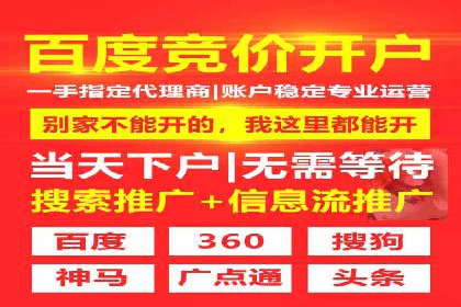 某电商平台的SEM投放全流程案例